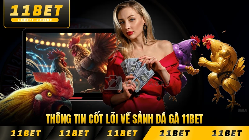 Thông tin cốt lõi về sảnh đá gà 11BET năm 2026 chính xác