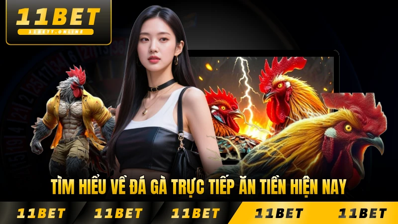 Tìm hiểu về đá gà trực tiếp ăn tiền hiện nay mới nhất